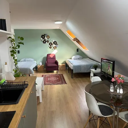 Moderne In Ruhiger Lage Apartment