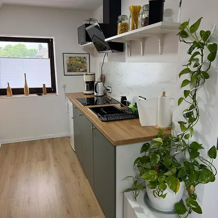 Moderne In Ruhiger Lage Appartement